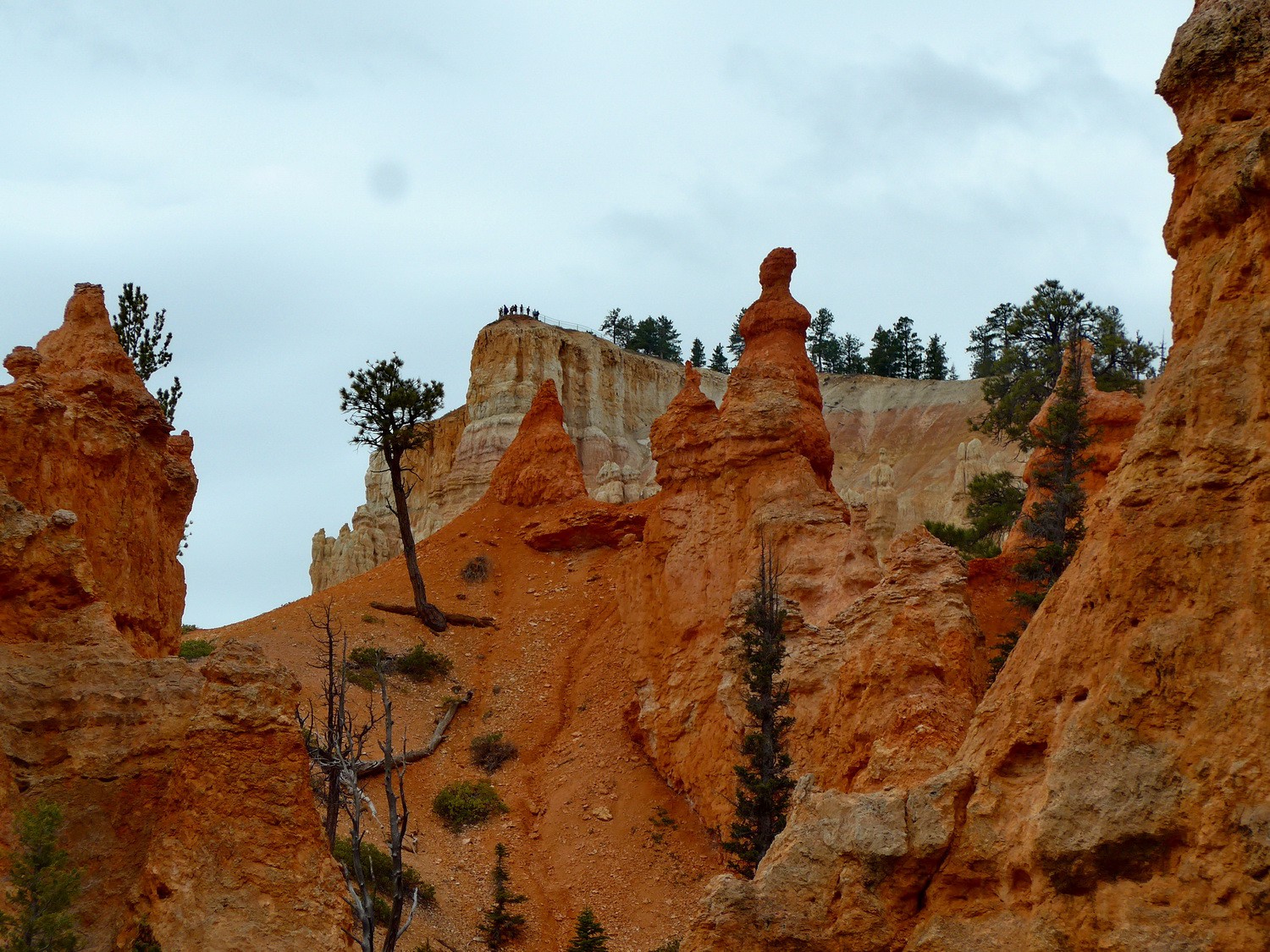 People on the Bryce point
